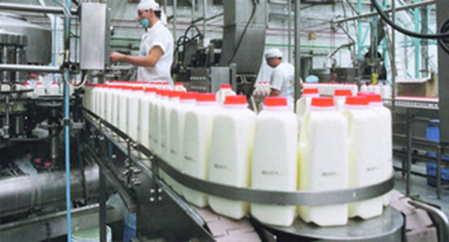 Régimen de fomento, promoción y desarrollo de la producción láctea. Ingresos brutos. Exenciones. Actividades industriales. Industrias lácteas. Condiciones