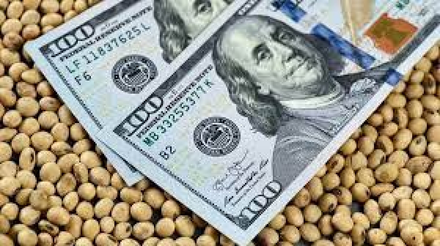 El Gobierno extendió el dólar agro hasta diciembre y modificó formas de liquidación