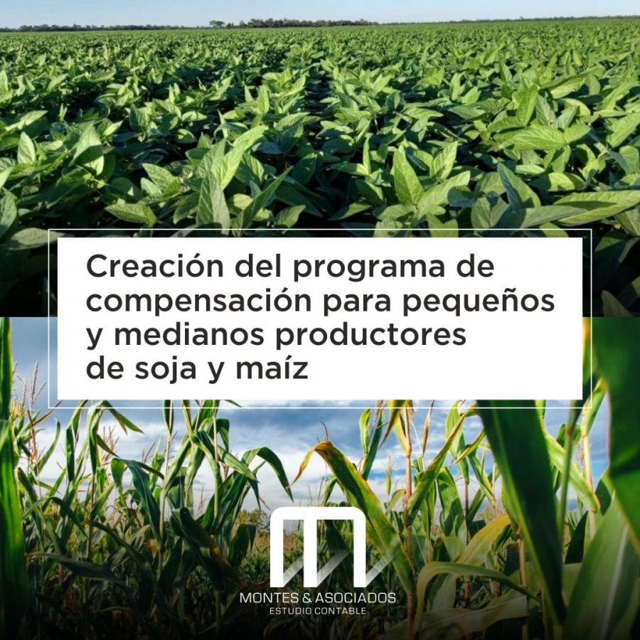 Creación del programa de compensación para pequeños y medianos productores de soja y maíz.